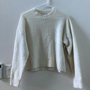 Everlane The Teddy Wool Blend Crew Neck Sweater